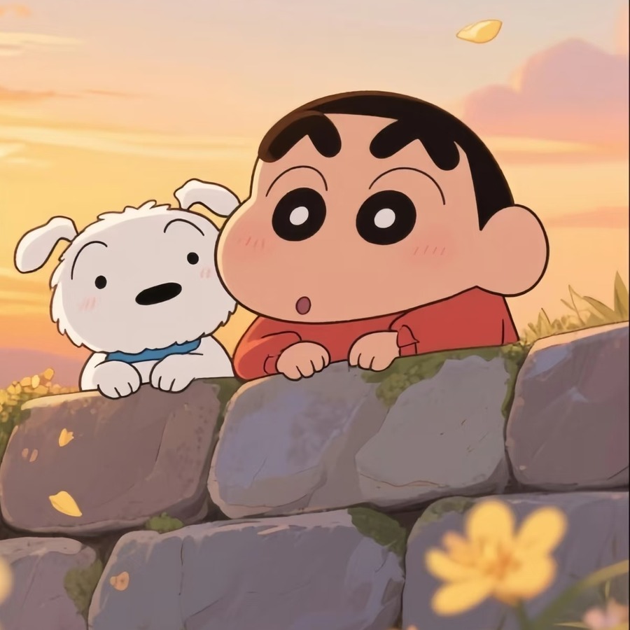 蜡笔小新和小白的生日头像